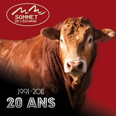 155352_469184328892_93185073892_5777525_2947625_n.jpg (68.72 KiB) Osservato 2387 volte 155352_469184328892_93185073892_5777525_2947625_n.jpg