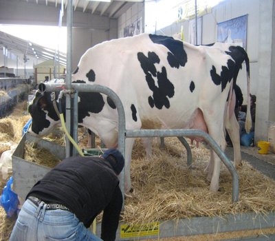 004.JPG (279.77 KiB) Osservato 958 volte 004.JPG