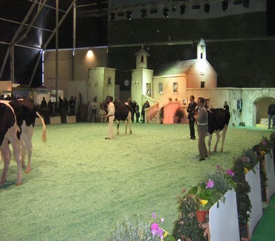 008.JPG (307.18 KiB) Osservato 1047 volte 008.JPG