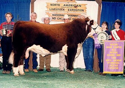 Chiford Toro.jpg (58.47 KiB) Osservato 915 volte Chiford Toro.jpg