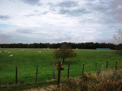 sommet 226.jpg (181.66 KiB) Osservato 2390 volte sommet 226.jpg