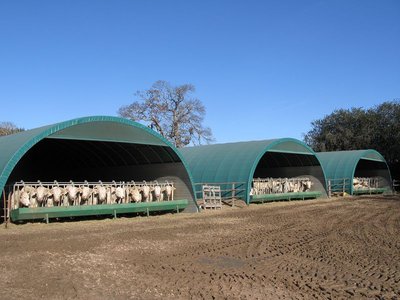 tunnel_0001.jpg (87.24 KiB) Osservato 2350 volte tunnel_0001.jpg