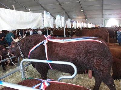 Immagine 2047.jpg (163.18 KiB) Osservato 1044 volte Immagine 2047.jpg