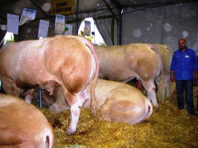 DSCN1538.JPG DSCN1538.JPG