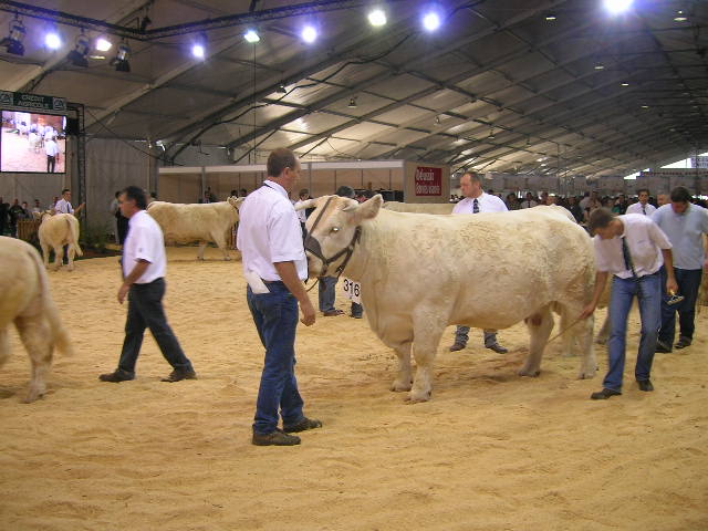 DSCN1430.JPG DSCN1430.JPG