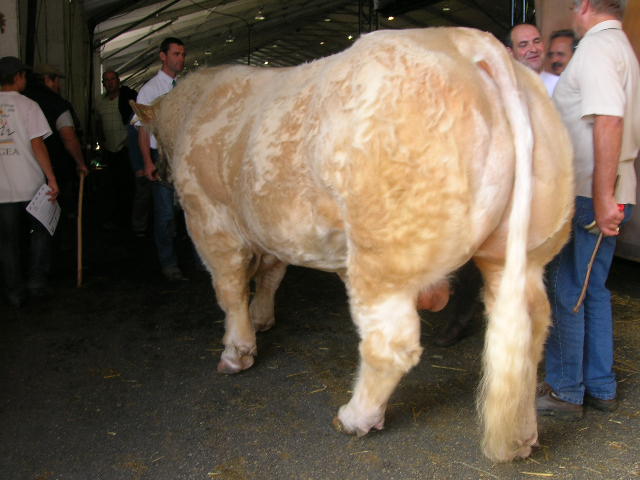 DSCN1457.JPG DSCN1457.JPG