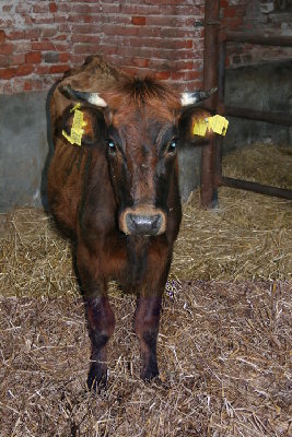 foto23.jpg (161.27 KiB) Osservato 2406 volte foto23.jpg