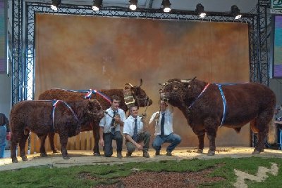 11842_163939893892_93185073892_2908414_5108316_n.jpg (60.01 KiB) Osservato 966 volte 11842_163939893892_93185073892_2908414_5108316_n.jpg