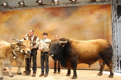 7830_156104463892_93185073892_2839566_395267_n.jpg (55.49 KiB) Osservato 965 volte 7830_156104463892_93185073892_2839566_395267_n.jpg