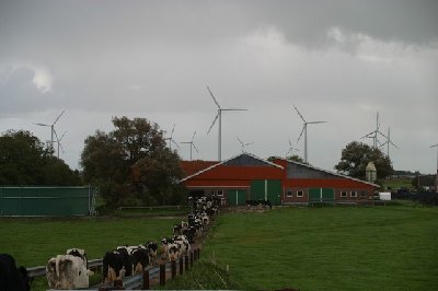 Image00001.jpg (52.79 KiB) Osservato 1368 volte Image00001.jpg