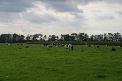 Image00002.jpg (66.51 KiB) Osservato 1365 volte Image00002.jpg