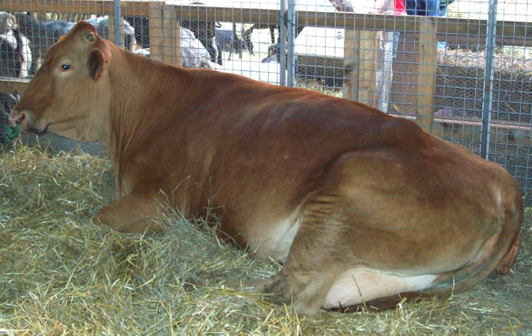 100_0398.JPG 100_0398.JPG