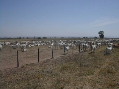 anna poiana.jpg (127.02 KiB) Osservato 2374 volte anna poiana.jpg