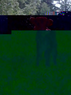 IMG_5223824646539.jpeg (81.21 KiB) Osservato 1994 volte IMG_5223824646539.jpeg