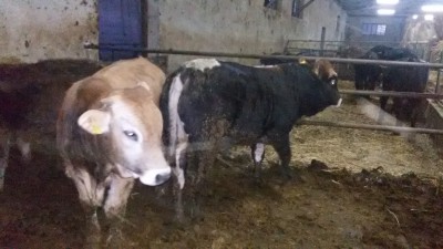 20141103_172330.jpg (2.11 MiB) Osservato 1299 volte 20141103_172330.jpg