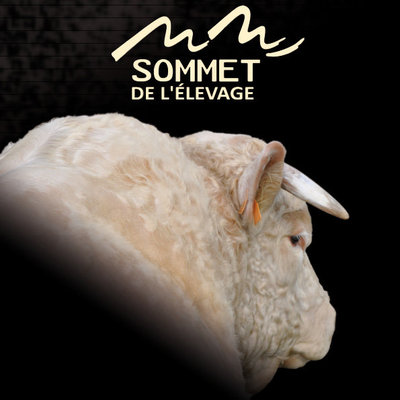 15956_195923088892_93185073892_3160459_2304668_n.jpg (50.32 KiB) Osservato 1013 volte 15956_195923088892_93185073892_3160459_2304668_n.jpg