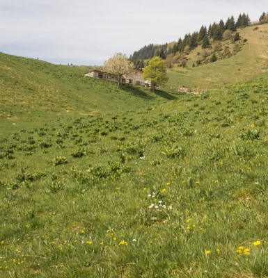 akakakak.jpg (266.83 KiB) Osservato 2289 volte akakakak.jpg