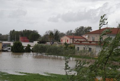 sele.jpg (42.14 KiB) Osservato 3636 volte sele.jpg