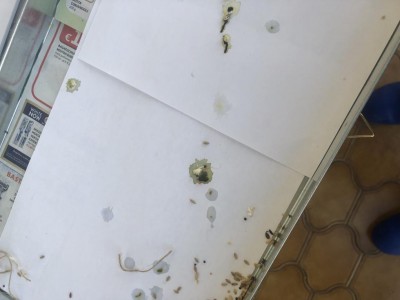 feci coppia mosaico / feci coppia mosaico.jpg feci coppia mosaico.jpg