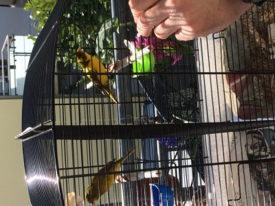 IMG_0016.JPG (148 KiB) Osservato 2241 volte IMG_0016.JPG