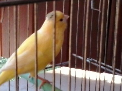 2013-10-02 17.54.38.jpg (115.54 KiB) Osservato 1314 volte 2013-10-02 17.54.38.jpg