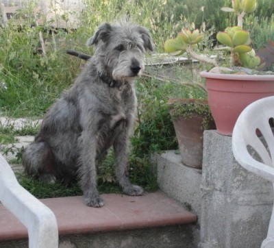 JANA / 13.5.13.jpg 13.5.13.jpg