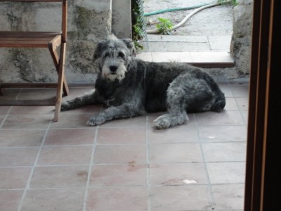 JANA / DSC08881.jpg DSC08881.jpg