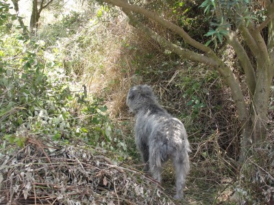 JANA / 17.6.10.jpg 17.6.10.jpg