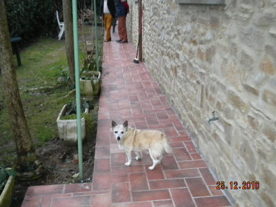 Immagine 314.jpg (104.56 KiB) Osservato 995 volte Immagine 314.jpg