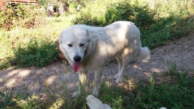 20190617_172813.jpg (132.65 KiB) Osservato 918 volte 20190617_172813.jpg