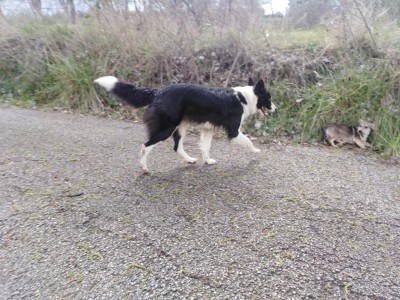 IMG_20200308_135208.jpg (163.17 KiB) Osservato 1599 volte IMG_20200308_135208.jpg