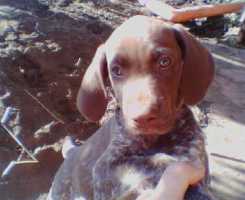 04071801.JPG 04071801.JPG