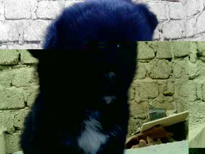 179325_190206661003112_100000413380087_592303_3623492_n.jpg (133.51 KiB) Osservato 820 volte 179325_190206661003112_100000413380087_592303_3623492_n.jpg