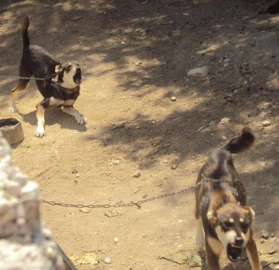 q.jpg (145.23 KiB) Osservato 1312 volte q.jpg