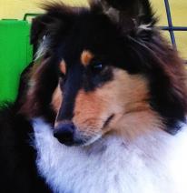 39282_4388647004618_1857111875_n.jpg 39282_4388647004618_1857111875_n.jpg