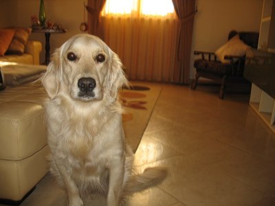 Immagine 001.jpg (71.38 KiB) Osservato 1447 volte Immagine 001.jpg