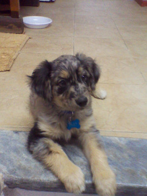 2 mesi / IMG_20120324_213315.jpg IMG_20120324_213315.jpg