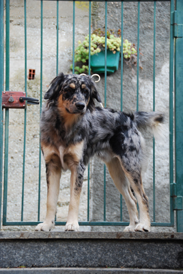 DSC_0018.JPG DSC_0018.JPG