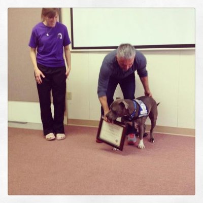 27119_10151619611029954_1602328480_n.jpg (23.67 KiB) Osservato 633 volte 27119_10151619611029954_1602328480_n.jpg