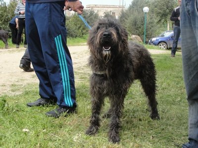 image.jpg (147.96 KiB) Osservato 1453 volte image.jpg