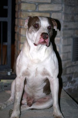 qualche mese fa / ScreenHunter_35.jpg ScreenHunter_35.jpg