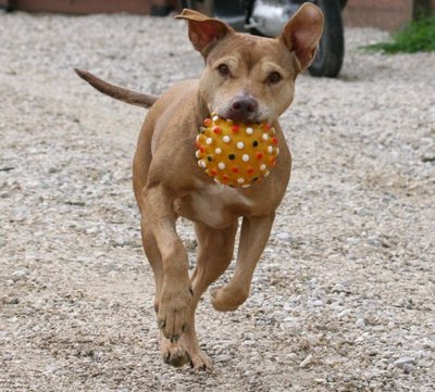 margot / ScreenHunter_33.jpg ScreenHunter_33.jpg