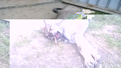 image.jpg (134.61 KiB) Osservato 2857 volte image.jpg