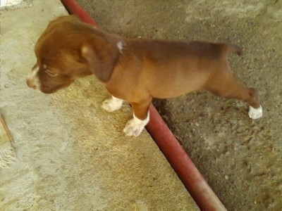 IMG_20140809_140958.jpg (193.96 KiB) Osservato 1074 volte IMG_20140809_140958.jpg