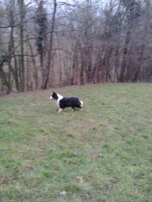 IMG-20141228-WA0020.jpg (55.11 KiB) Osservato 1029 volte IMG-20141228-WA0020.jpg