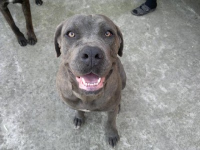 24042013341.jpg (68.65 KiB) Osservato 6016 volte 24042013341.jpg