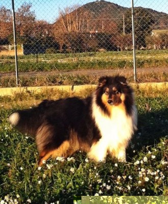 418038_4848346736824_251941398_n.jpg (67.95 KiB) Osservato 1011 volte 418038_4848346736824_251941398_n.jpg