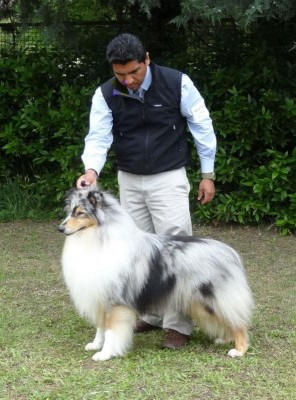 179736_10200957026238171_1949560129_n.jpg (88.06 KiB) Osservato 1011 volte 179736_10200957026238171_1949560129_n.jpg