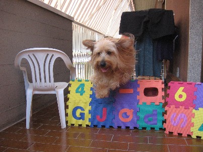 Danco che salta / home_1_00.jpg home_1_00.jpg