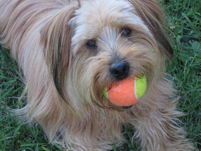 pallina! / p006_1_03.jpg p006_1_03.jpg